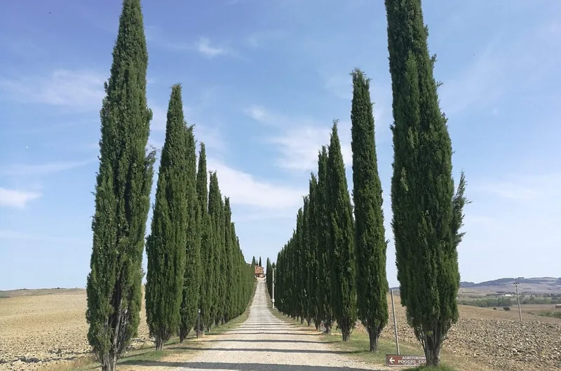 Montepulciano & Pienza Private Day